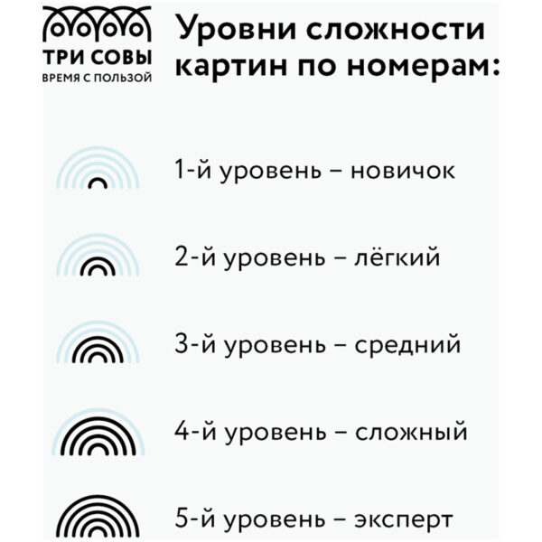 Картина по номерам на холсте ТРИ СОВЫ "Свобода", 30*40, с акриловыми красками и кистями