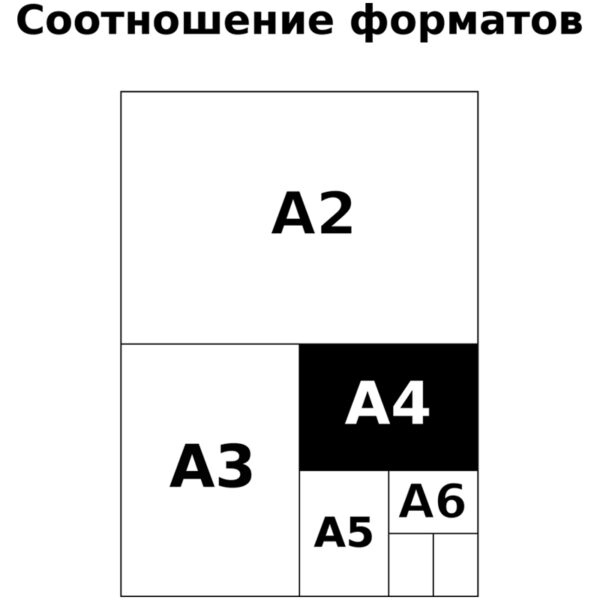 Альбом для рисования 32л., А4, на скрепке BG "Fresh"