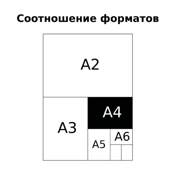 Тетрадь 96л., А4, линия BG "Мир путешествий", глянцевая ламинация