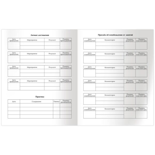 Дневник 1-11 кл. 48л. ЛАЙТ BG "Следуй за мечтами", матовая ламинация, тиснение фольгой