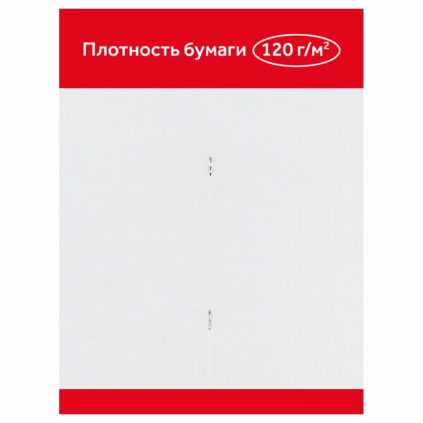 Альбом для рисования 24л., А4, на скрепке Гамма "Мультики", 120г/м2