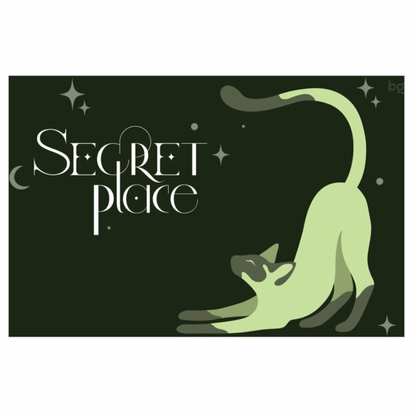 Альбом для рисования 40л., А4, на скрепке BG "Secret Place", выб. лак