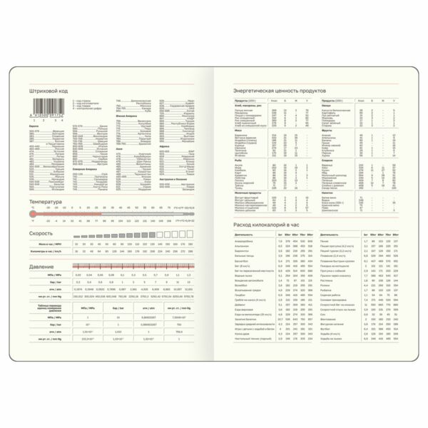 Ежедневник недатированный, А5, 136л., мягкий переплет, кожзам, BG "Business. Graphite", темно-серый