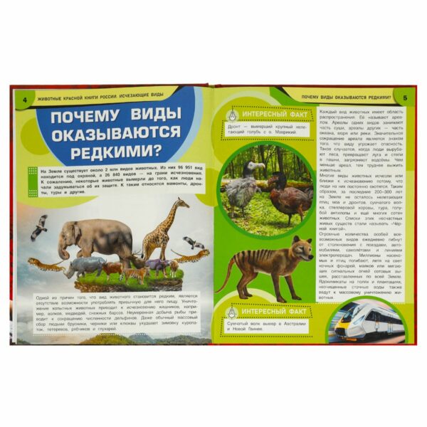 Энциклопедия Умка 197*255, "Животные Красной книги России. Исчезающие виды", 48стр.