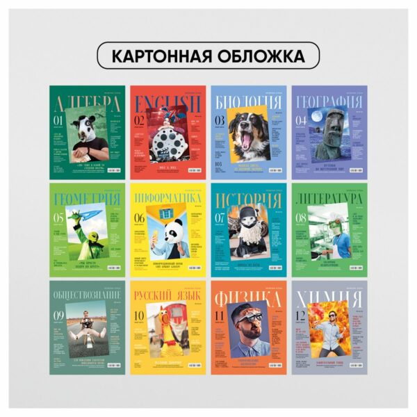 Комплект (12 шт.) предметных тетрадей 48л. BG "Скандальности", глянцевая ламинация