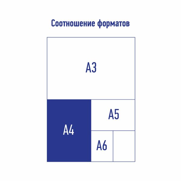 Папка с 40 вкладышами Berlingo "Color Zone", 21мм, 1000мкм, фиолетовая