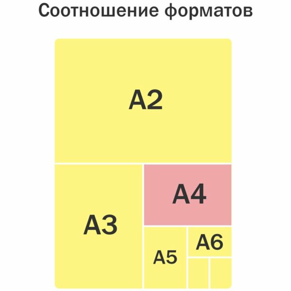 Папка для тетрадей 1 отделение А4 ArtSpace "AvoCat", пластик, на молнии