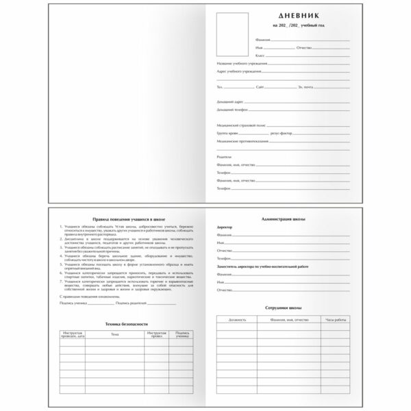 Дневник 1-11 кл. 48л. (твердый) BG "Ethnic style", матовая ламинация, выб.лак