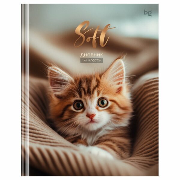 Дневник 1-4 кл. 48л. (твердый) BG "Soft", матовая ламинация