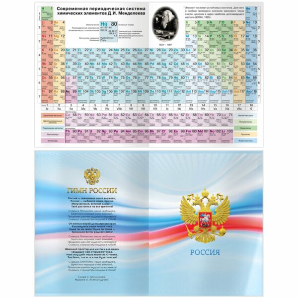 Дневник 5-11 кл. 48л. (твердый) BG "Кот", глянцевая ламинация